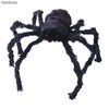 Araña gigante peluda negra