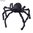 Araña gigante peluda negra