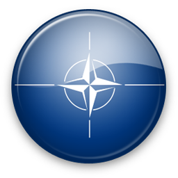BANDERA OTAN
