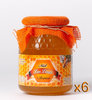 OFERTA - Pack de 6 tarros de miel de romero de 1 kg SIN GASTOS DE ENVÍO